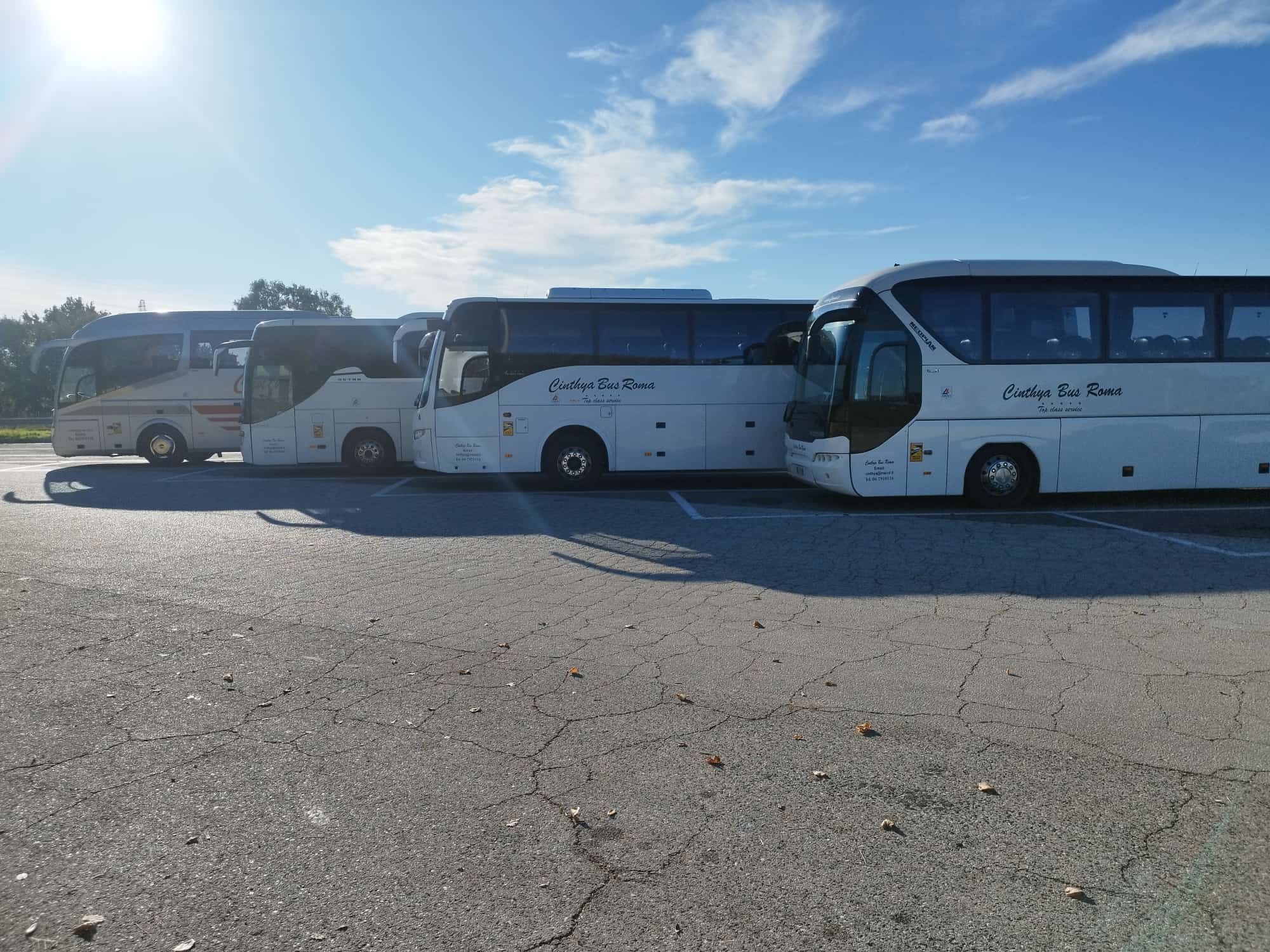 Esempio dalla galleria fotografica di CINTHYA BUS SRL SOCIO UNICO: pullman