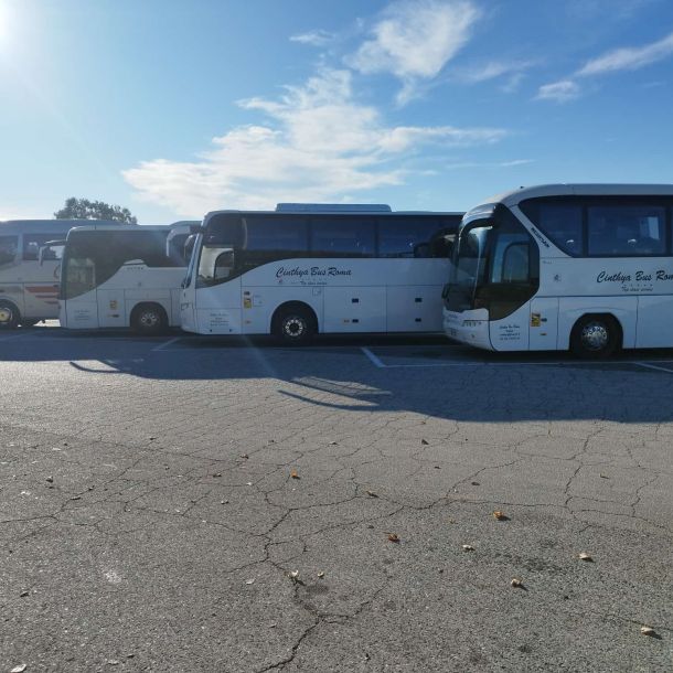 Esempio dalla galleria fotografica di CINTHYA BUS SERVICE SRL