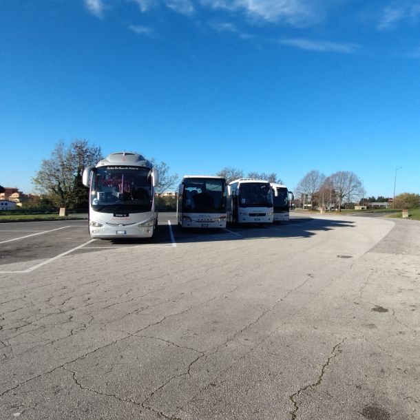 Esempio dalla galleria fotografica di CINTHYA BUS SERVICE SRL