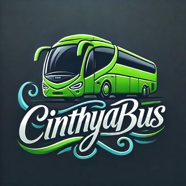 Esempio dalla galleria fotografica di CINTHYA BUS SRL SOCIO UNICO: IRIZAR